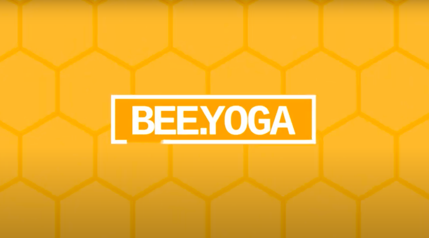 Yoga im TV BEEYOGA h1 Fernsehen Hannover